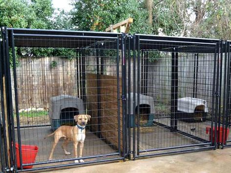 Dog Kennel – High Safety, Corrosion and Rust Resistance, Enough Space Dog Cage Outdoor, Dog Kennel Ideas, Dog Kennel Flooring, Dog Kennel And Run, Dog Enclosures, Pet Enclosures, Cheap Dog Kennels, Dog Kennel Outside, Luxury Dog Kennels