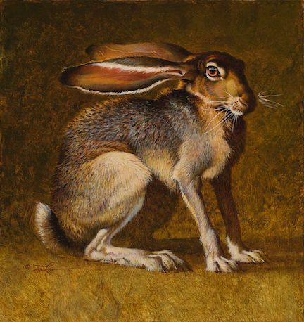 Ezra Tucker, Rabbit Anatomy, Hare Pictures, Hare Watercolour, Unrealistic Wishlist, Hare Illustration, Hare Painting, Wild Hare, Rabbit Run