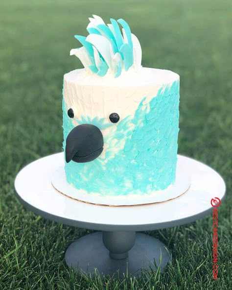 50 Bird Cake Design (Cake Idea) - February 2020 Cockatoo Cake, Parrot Cake Ideas, Bird Cake Ideas, Bird Cake Decorating Ideas, Parrot Birthday Cake, Bird Themed Birthday Cake, Bird Cake Design, Bird Cakes Birthday, Bird Shaped Cake