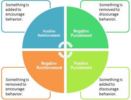 Negative Reinforcement, Marketing Strategy Examples, Operant Conditioning, Team Motivation, Dog Behavior Training, Behavior Modification, Media Literacy, Brain Training, Positive Reinforcement