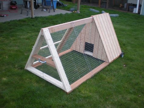 A Frame Chicken Coop, Small Chicken Coops, Portable Chicken Coop, Chicken Pen, Chicken Tractors, Chicken Tractor, Best Chicken Coop, Chicken Run, Chicken Coop Designs