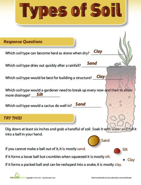 #educationdotcom Science Sorting Activities, Agriculture Education Lessons, Soil Activities, Soil Science, Plant Classification, Lesson Plan Examples, Ag Teacher, Soil Types, About Earth