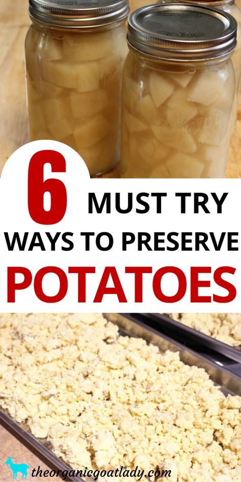 Preserve Potatoes, Freezing Potatoes, Canning Potatoes, Dehydrate Potatoes, Preserving Vegetables, Canning Sweet Potatoes, Canned Potatoes, Food Preserving, Self Sufficiency