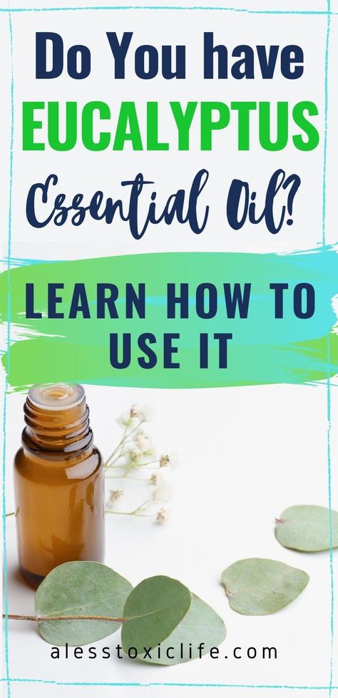 Learn the benefits, uses and how to use eucalyptus essential oil. Recipes, inhaler blends, diffuser blends, natural diy ways to use essential oils. #doterra #eo #youngliving #diffuserblends #diy #natural #lesstoxic Eucalyptus Spearmint Essential Oil Blend, Benefits Of Eucalyptus Oil, Lemon Eucalyptus Diffuser Blends, Eucalyptus Essential Oil Blends, Eucalyptus Diffuser Blends, Eucalyptus Essential Oil Uses, Eucalyptus Oil Uses, Benefits Of Eucalyptus, Eucalyptus Diy