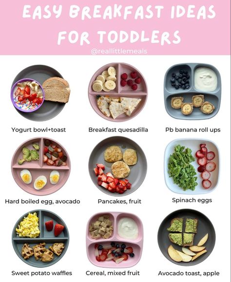 Breakfast Ideas For Toddlers, Baby Weaning Foods, Meal Plan For Toddlers, Toddler Menu, Daycare Meals, Kids Lunch Box Meals, Weaning Foods, Baby Breakfast, Easy Toddler Meals