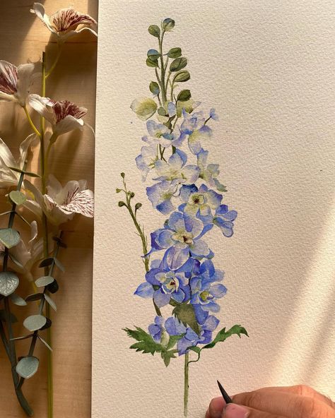 Vaibhav Tyagi (@villustrate) • Instagram photos and videos Larkspur Delphinium, Larkspur Flower, Derwent Inktense, Different Art Styles, Art Painting Gallery, Botanical Painting, Botanical Watercolor, Diy Canvas Art Painting, Flower Art Painting