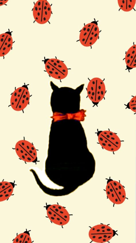 #ladybugs #blackcat #cats #minimalist #simple #cottagecore #quirky #aesthetic #lockscreen Wallpaper Quirky, Wallpaper Ladybug, Ladybug Animal, Quirky Aesthetic, Aesthetic Lockscreen, Ladybug Wallpaper, Black Kitten, Instagram Wallpaper, Penny Lane