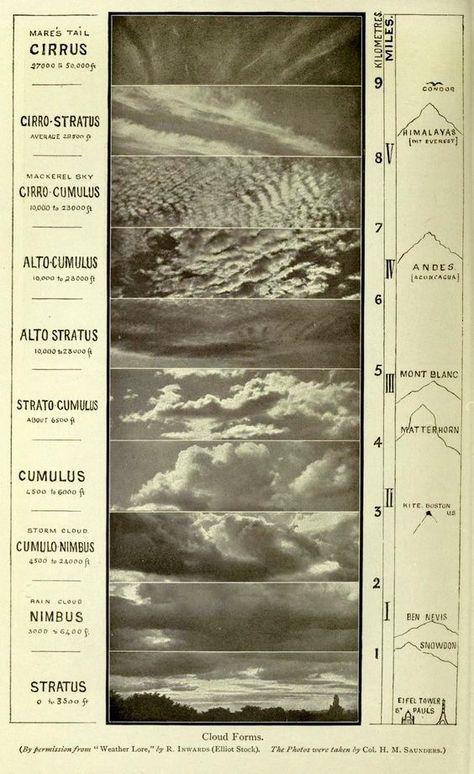 Stratus Clouds, Cloud Atlas, Cloud Illustration, Moon Clouds, Andes Mountains, Cloud Drawing, Nature Study, Field Guide, The Eiffel Tower