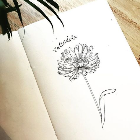 5. Calendula October Calendula Tattoo, Motherhood Tattoos, Line Drawing Tattoos, L Tattoo, Small Quote Tattoos, Mommy Tattoos, Birth Flower Tattoos, Feminine Tattoos, Friend Tattoos