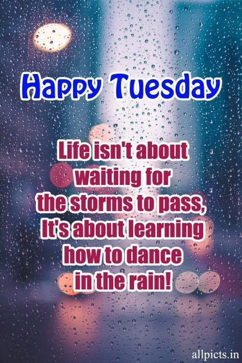 Rainy Morning Quotes, Tuesday Good Morning Images, Wonderful Day Quotes, Tuesday Thoughts, Rainy Tuesday, Rainy Day Quotes, Tuesday Quotes Good Morning, Tuesday Greetings, Opportunity Quotes