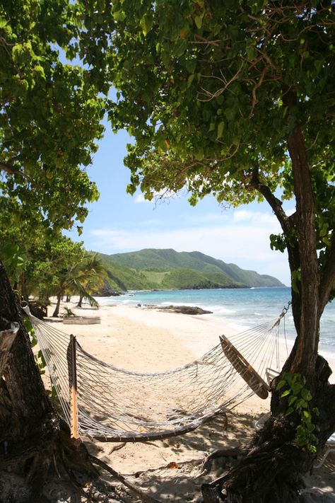 USVI St. Croix Best Islands to Live On Davis Beach hammock St Croix Usvi, Beach Hammock, Island Life Style, St. Croix, Us Virgin Islands, St Croix, Galapagos Islands, Need A Vacation, Island Living