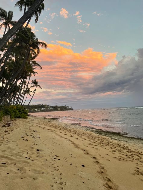 Orange Sunset Beach, Uh Manoa, Sunset Palm Trees, Sunset Pic, Wallpapers Ipad, Hawaii Pictures, Hawaiian Sunset, North Shore Oahu, University Of Hawaii