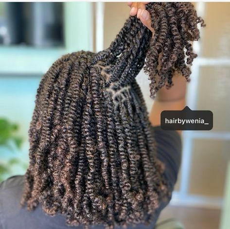 18 Passion Twists Styles For 2021 - The Glossychic Small Bob Passion Twists, Passion Twist Locks, Free Part Passion Twists, 16 Inch Passion Twist, Passion Twists 12 Inch, Passion Twists With Natural Hair, Spring Twist Black Women, Best Hair For Twist Braids, Passion Twists Small Size