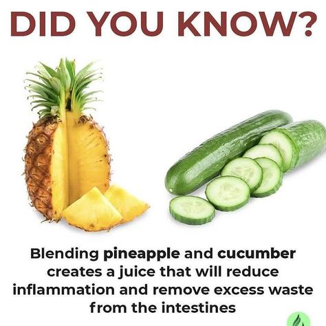 Sea Moss 🌱 Healthy Living on Instagram: “Follow 👉🏼 @veganlifemoss 🔥— DID YOU KNOW ❓Blending cucumber 🥒 and pineapple 🍍 is a great way to stay hydrated while improving your health. …” Benefits Of Eating Pineapple, Cucumber Cleanse, Pineapple And Cucumber, Ginger Juice Benefits, Cucumber Juice Benefits, Eating Pineapple, Pineapple Health Benefits, Pineapple Benefits, Cucumber Benefits