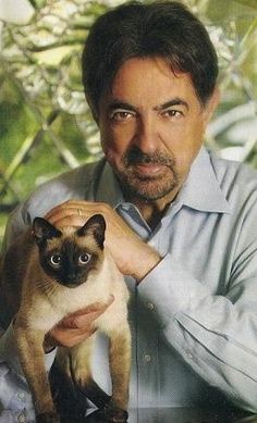 Joe Mantegna. Celebrities With Cats, Men With Cats, Joe Mantegna, Cat Personalities, Pet Blog, Cat People, Cat Person, Siamese Cats, Crazy Cat Lady