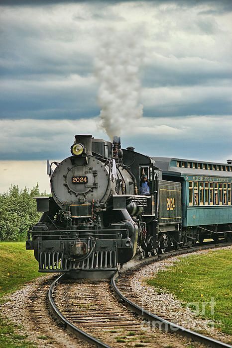 Old Train Pictures, Baby Dragon Art, Steam Trains Photography, Train Photos, Old Steam Train, Train Posters, Steam Engine Trains, Bull Elk, Luxury Train