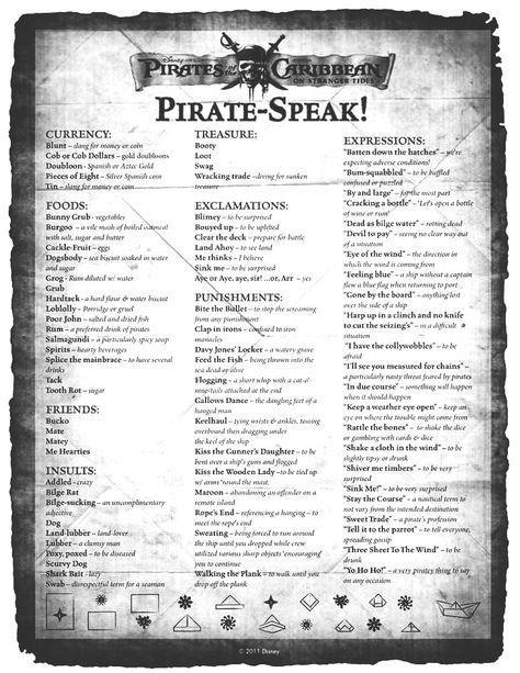 Female Pirate Names, Cool Pirate Ship Names, Pirate Ship Names, Pirate Slang, Writing Pirates, Pirate Ship Parts Name, Pirate Terms, Pirate Journal, Pirates History