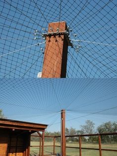 Diy Cow Scratching Post, Chicken Coop Netting, Extra Large Chicken Run, Chicken Netting Fence, Chicken Run Netting, Open Air Chicken Coop Ideas, Bird Netting Chicken Coop, Netting Over Garden, Chicken Netting