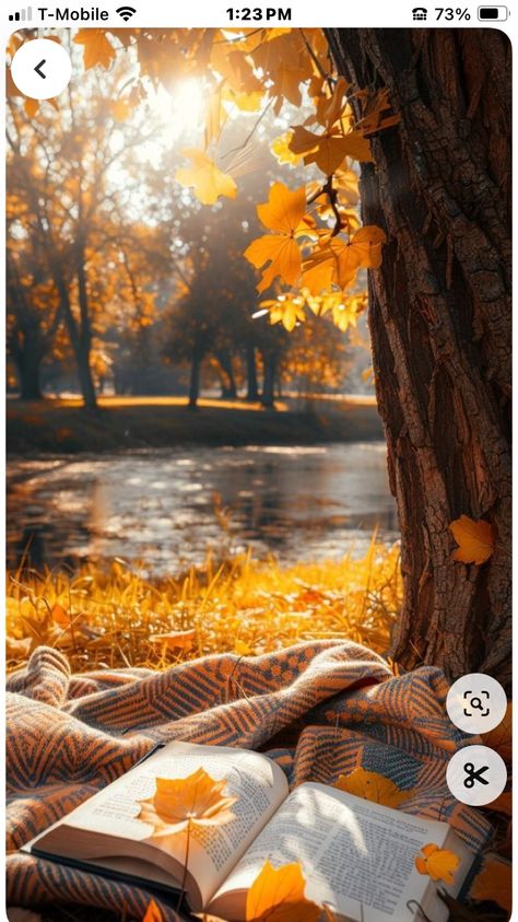 Fall Foliage Aesthetic, Autumn Challenge, Fall Photography Nature, Halloween Love, Autumn Magic, Autumn Nature, Autumn Scenes, Autumn Scenery, Aesthetic Photography Nature