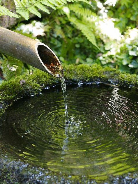 Moss covered garden statues | ... Collection Galleries World Map App Garden Camera Finder Flickr Blog Zen Water Fountain, Image Zen, Kolam Air, Meditation Garden, Small Fountains, Magic Garden, Moss Garden, Covered Garden, Water Features In The Garden