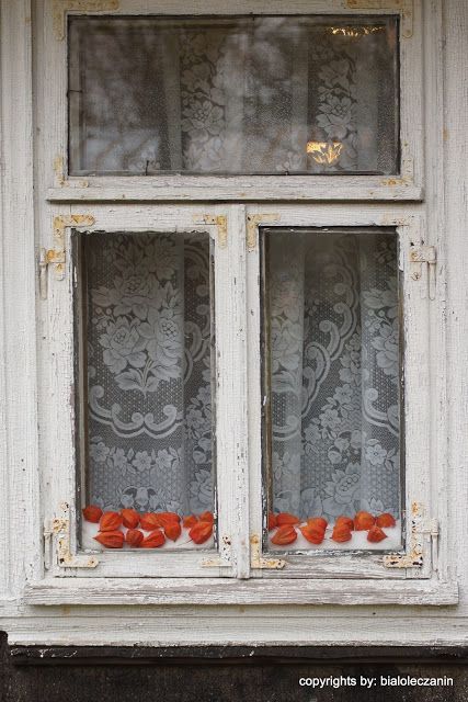 Vintage Cottage Aesthetic, Haunted Farmhouse, Casement Window, Wooden Architecture, Cottage Aesthetic, Polish Folk, Vintage Cottagecore, Countryside House, Beautiful Windows