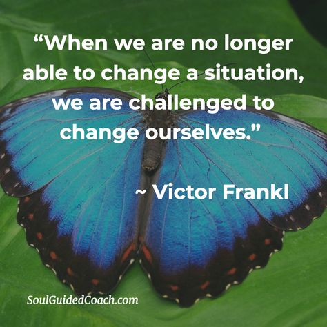 Victor Frankl #quotes #spirituality #selfawareness #transformation #happiness #consciousness Victor Quotes, Victor Frankl Quotes, Motivation Jar, Counseling Theories, Viktor Frankl Quotes, Buddhism Beliefs, Transformation Quotes, Meditation Inspiration, Quotes 2023