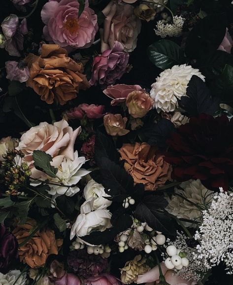 Black Backgrounds Aesthetic, Moody Floral Wallpaper, Fall Phone Theme, Kristin Ess, Vintage Floral Wallpapers, Floral Wallpapers, Spotify Playlist Covers, Flowery Wallpaper, Vintage Style Art