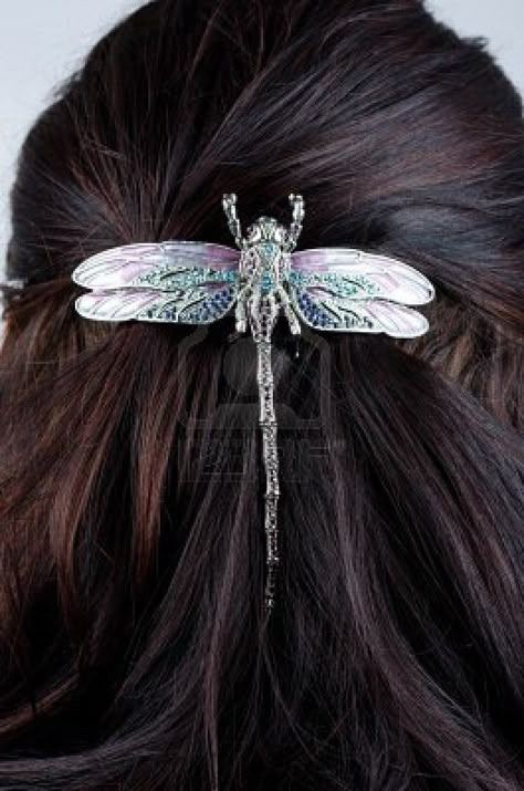 Dragonfly art