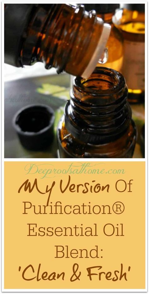 Purification Oil, Diy Mountain, Purification Essential Oil, Essential Oils For Colds, Medicine Chest, Mountain Rose, Cedarwood Oil, Citrus Essential Oil, Healing Oils