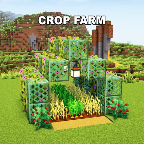 Minecraft Crop Farm ✅ Follow for OP Minecraft Builds 📢 Share with your Friends 💬 Rate this Build 1-10 🔖Tags 🔖 #minecraft #minecraftbuilds #minecrafters #minecraftpe #minecraftmemes #mınecraftideas #minecraftbuild #minecraftbuilding #minecraftbuilding #minecrafttutorial #minecraftonly #mcpe #minecraftpc #minecraftcreations #minecraftdaily #minecraftdesign #minecraftjava #minecrafts #minecraftyoutuber #gaming Crop Farm Minecraft, Minecraft Farmers Market, Minecraft Crop Farm, Minecraft Crop Farm Ideas, Minecraft Campsite, Minecraft Camp, Crop Farming, Minecraft Inspo, Minecraft Pe