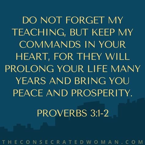 Verse of the Day: Proverbs 3:1-2 Do not forget my teaching, but keep my commands in your heart, for they will prolong your life many years and bring you peace and prosperity. People often humorousl… Jokes About Life, The Book Of Proverbs, Book Cover Art Diy, Daily Bible Verses, Peace And Prosperity, Book Of Proverbs, The Holy Bible, Seek The Lord, Proverbs 3