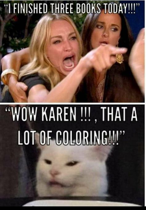 Smudge The Cat, White Cat Meme, Confused Cat, Karen Memes, Funny Kitties, Cat Jokes, Cat Meme, Best Pics, Funny Cat Memes