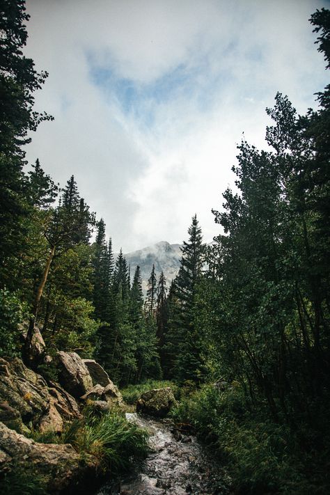 Colorado Wall Art, Mountain Aesthetic, Colorado Photography, Colorado Landscape, Mountain Forest, Image Nature, Mountain Wallpaper, Forest Art, Green Forest