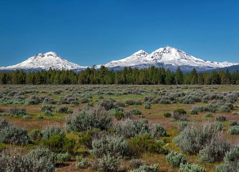 The Three Sisters are mountain peaks that belong to the Cascade Volcanic Arc. The South Sister erupted about 2,000 years ago, and it's possible that it could erupt again. With an elevation of more than 3,000 m (10,000 ft), they occupy the third, fourth, and fifth place among Oregon's peaks by their Three Sisters Mountain, Oregon Tattoo, Oregon Mountains, Oregon Landscape, Mantle Ideas, Sisters Oregon, The Three Sisters, Mountain Images, Alpine Meadow