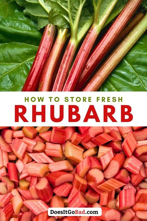 Discover the best storage techniques for fresh rhubarb with this comprehensive guide. Learn how to store rhubarb on the counter, in the fridge, and even in the freezer to make it last longer. Find out about freezing rhubarb and how to tell if it's gone bad. These tips will ensure your rhubarb stays fresh and delicious for whenever you're ready to use it. Freezing Rhubarb, Healthy Rhubarb Recipes, Rhubarb Uses, Freeze Rhubarb, Healthy Fridge, Fresh Rhubarb, Expired Food, Frozen Watermelon, Rhubarb Cake