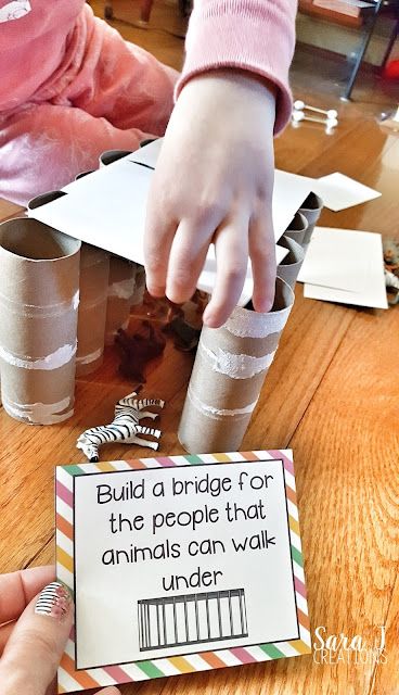 Zoo Hands On Activities, Stem Bins, Stem Activities Preschool, Kindergarten Stem, Zoo Activities, Build A Bridge, Steam Ideas, Stem Elementary, Preschool Stem