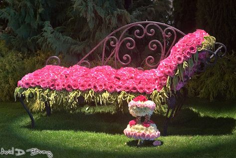 Bed of Roses Bed Of Roses, Rose Bedding, Design Bed, Tickled Pink, Gorgeous Gardens, Decorative Design, The Grass, Dream Garden, Love Flowers