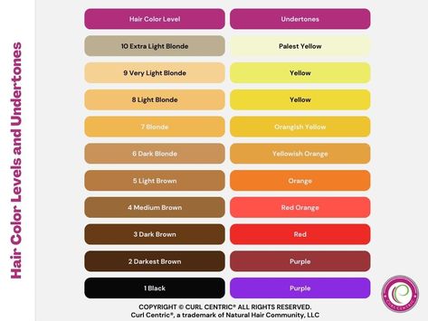 This hair color levels and undertones chart is a visual guide showing the range of hair colors from darkest to lightest and the underlying tones at each level. Red Tones Hair, Ash Hair Dye, Hair Color Levels, Hair Color Wheel, Brassy Hair, Box Dye, Ash Hair, Ash Hair Color, Toning Shampoo