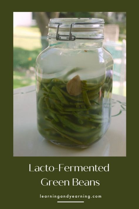 Lacto-fermented Green Beans Fermented Green Beans Recipe, Probiotic Lemonade, Fermented Green Beans, Garden Fruits And Vegetables, Fermenting Recipes, Honey Mustard Salad Dressing, Preserving Vegetables, Garlic Yogurt, Preparedness Ideas