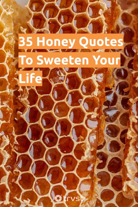 Sweet As Honey Quotes, Sweet Like Honey Quote, Bee Quotes Inspiration Life, Honey Quotes Bee, Beekeeping Quotes, Honey Quotes For Him, Quotes About Honey, Honey Sayings, Bee Quotes Inspiration