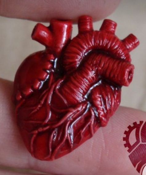 Atomically Correct Heart, Anatomic Heart, Crea Fimo, True Heart, Anatomical Heart, Clay Jewelry Diy, Clay Art Projects, Heart Brooch, Fimo Clay