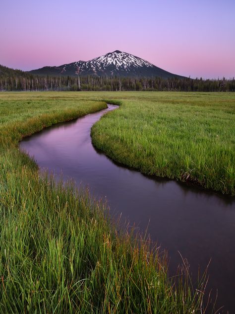 Mt Bachelor at twilight (Oregon) by Mat Malone Twilight Oregon, In My Backpack, Oregon Trip, My Backpack, The Bug, Cascade Mountains, Bug Spray, Oregon Travel, Usa Art