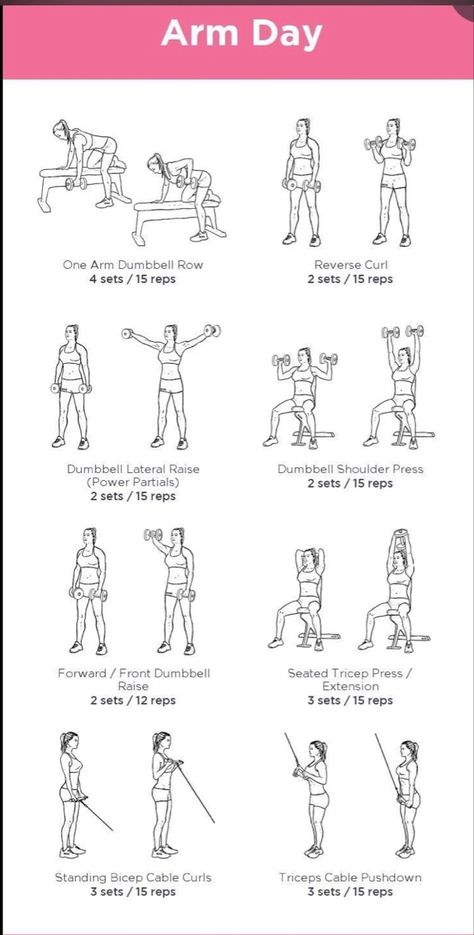 Arm Day Routine, Thigh Workout Challenge, Defined Arms, Workout Gym Routine, Workout Program Gym, Gym Workout Plan For Women, Day Routine, Tricep Dips, Printable Workouts