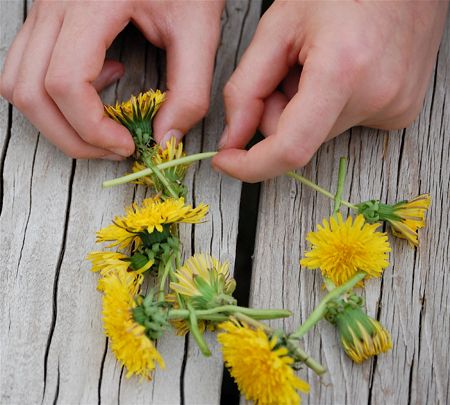 Making a chain out of flowers, yes, we did this. and it was fun. I showed a granddaughter just last summer how to do it. Making Daisy Chains, Dandelion Chain, Daisy Chain Tutorial, Leaves Crafts, Chain Tutorial, Magical Childhood, Cosmic Connection, Dandelion Tea, Dandelion Wishes