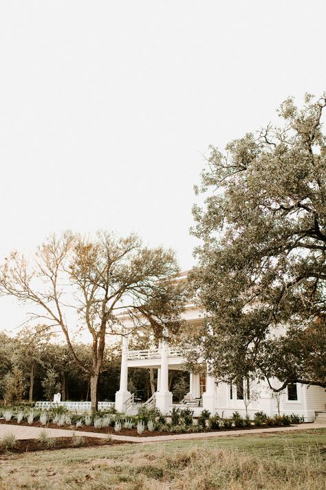 GRAND LADY AUSTIN TEXAS WEDDING - Wendy Love Photography Grand Lady Austin Wedding, The Grand Lady Austin, Austin Texas Wedding, Texas Wedding, Austin Wedding, Austin Texas, Love Photography, Wedding Inspo, Mansion