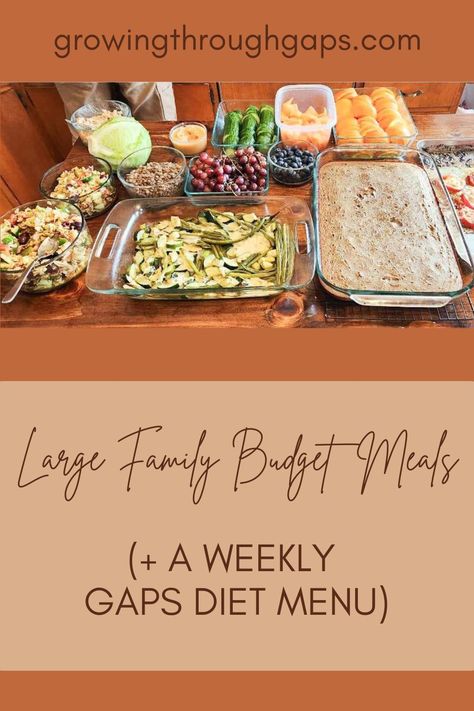 Large Family Nourishing Budget Meals, GAPS Diet, Paleo, Food Prep, Kitchen Hacks, Bulk Food Prep, Whole Foods, 5 Day Meal Plan, Healthy Meals, Groceries on a Budget

Nourishing recipes, or eating a GAPS diet meal plan does not have to be extraordinarily expensive, even for a large family.  I once heard someone say, “What we do not spend on healthy food now, we will pay for in medical bills later.” Gf Meal Planning On A Budget, Gaps Diet Dinner Recipes, Gaps Diet Meal Plan, Gaps Meal Plan, Full Gaps Recipes, No Processed Food Diet Meal Planning, Full Gaps Diet Recipes, Real Food Diet Meal Plan, Bulk Meals For Family