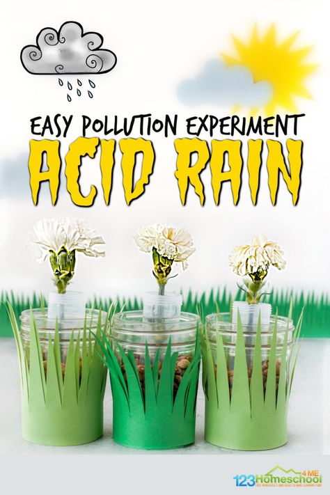 Pollution Experiment For Kids, Water Pollution Experiment, Pollution Experiment, Rain Experiment, Flower Experiment, Hibernation Preschool Activities, Earth Science Experiments, Pollution Activities, Environment Activities