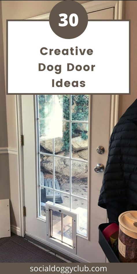 dog door ideas Dogs Door Ideas, Back Doors With Doggie Doors, French Doors Patio With Dog Door, Dog Door French Door, Doggie Doors Ideas, Cat Door Outside, Glass Door Doggie Door, Cat Door In Glass Door, Patio Doors With Doggie Door