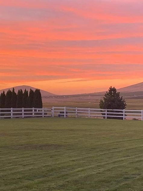 Sunset in Kennewick,Washington, USA Kennewick Washington, Washington Usa, Solar Eclipse, Washington, Solar