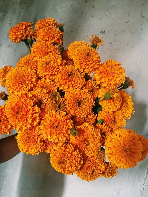 Coco Gold Marigold, Orange Marigold Flower, Bouquet Of Marigolds, Marigolds Bouquet, Marigold Wedding Bouquet, Marigold Flower Bouquet, Marigold Flower Aesthetic, Sunflower And Marigold, Marigold Jewelry